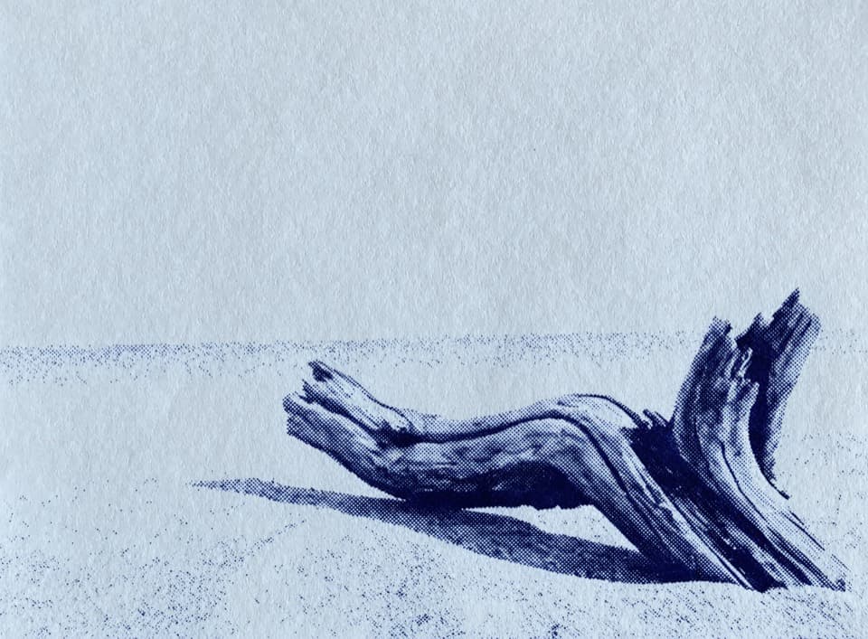 Cover art for HØLT gorpcore driftwood poster