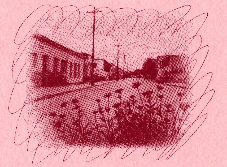Cover art for LATE BLOOM marker-scribble flyer