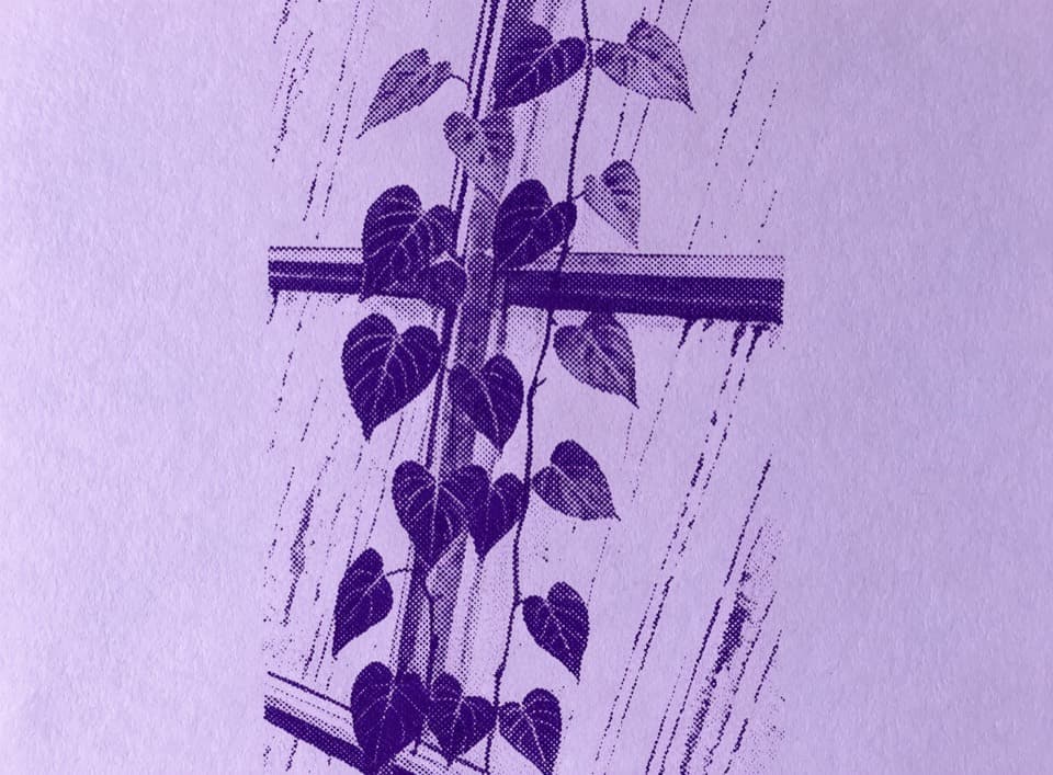 Cover art for MONSOON MIND botanical poster